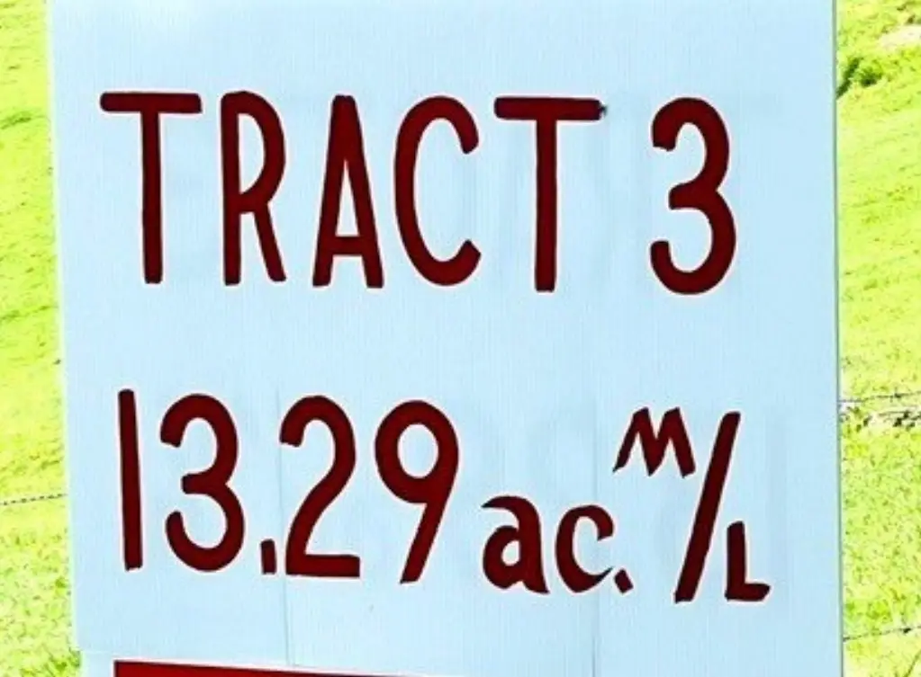 Picture 34