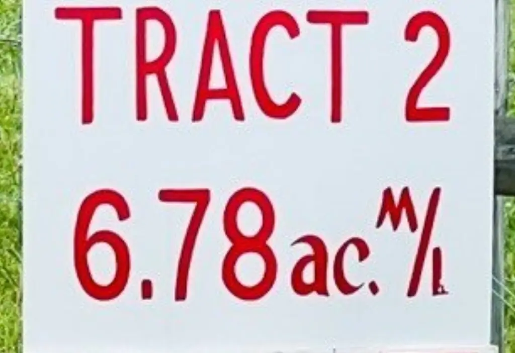 Picture 19