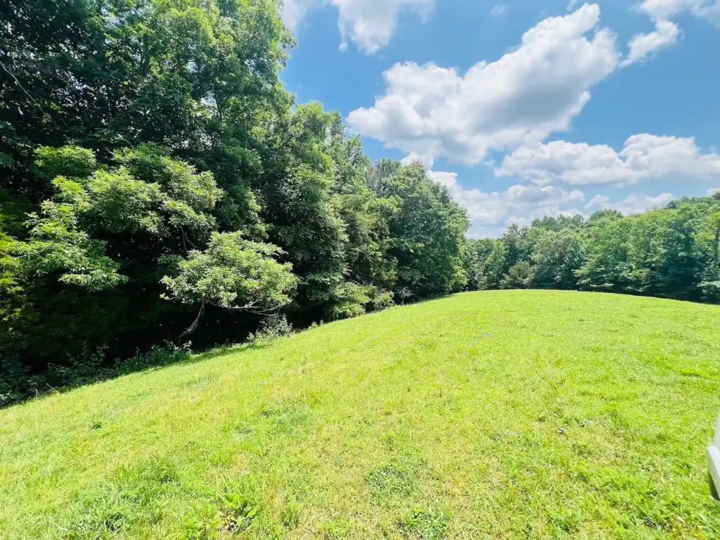 Picture 40
