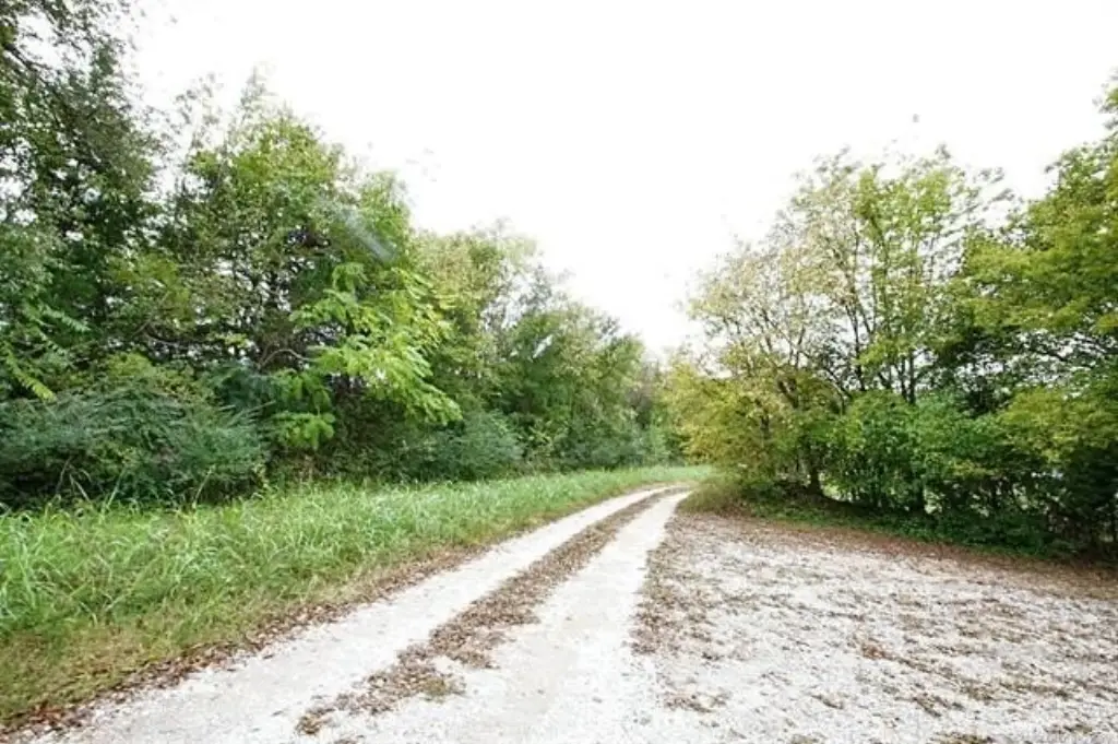 Picture 13