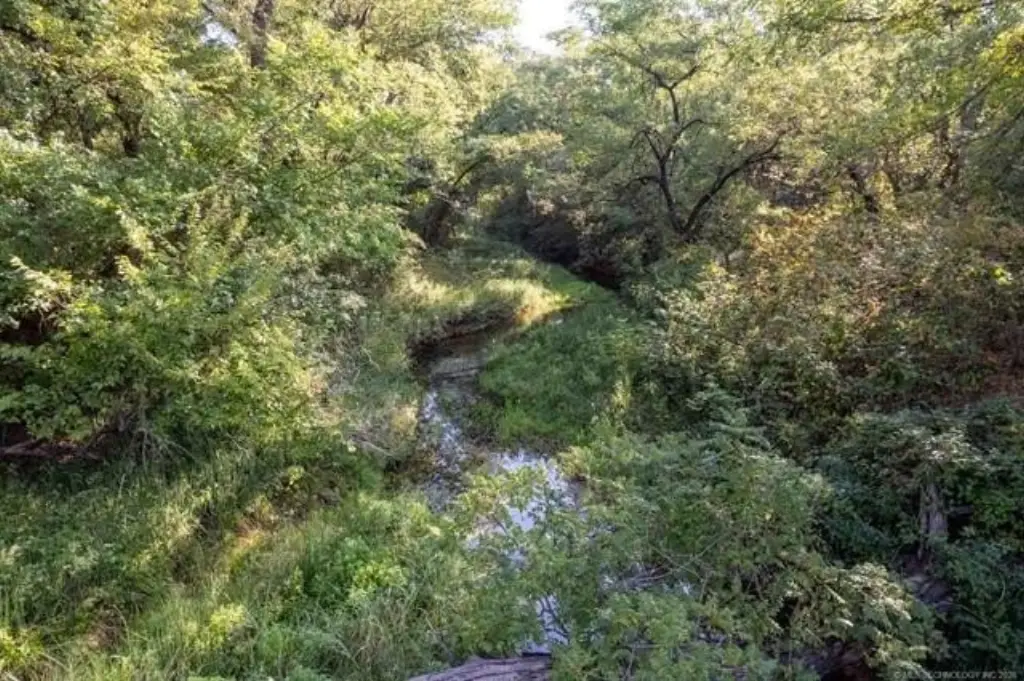 Picture 8