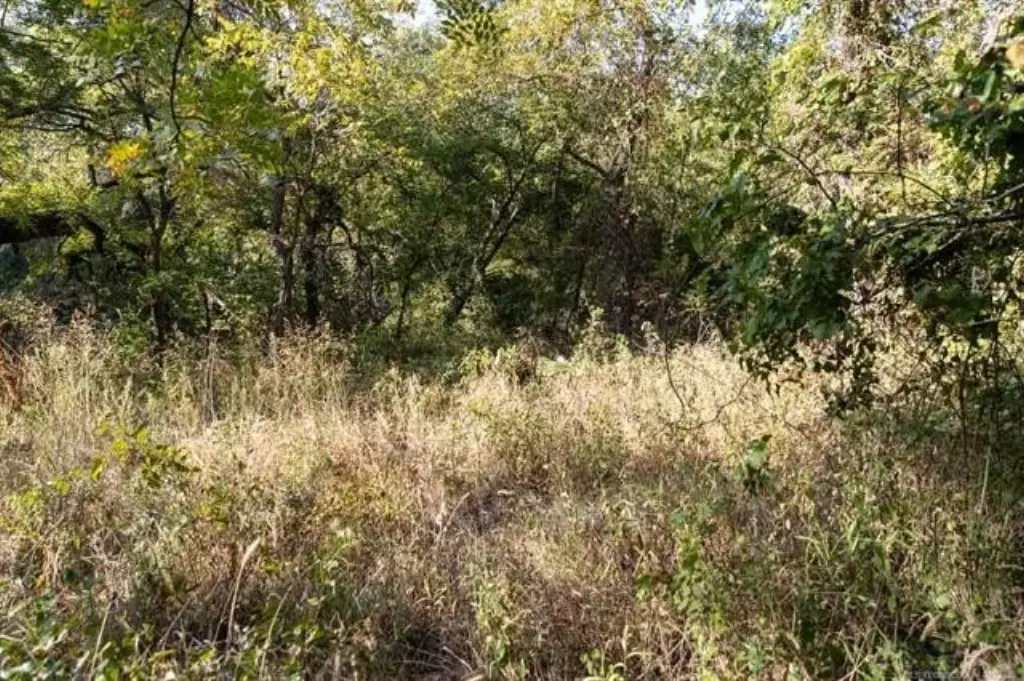 Picture 31