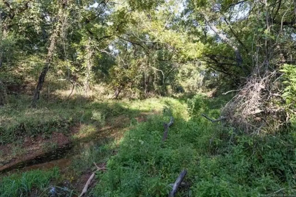 Picture 23