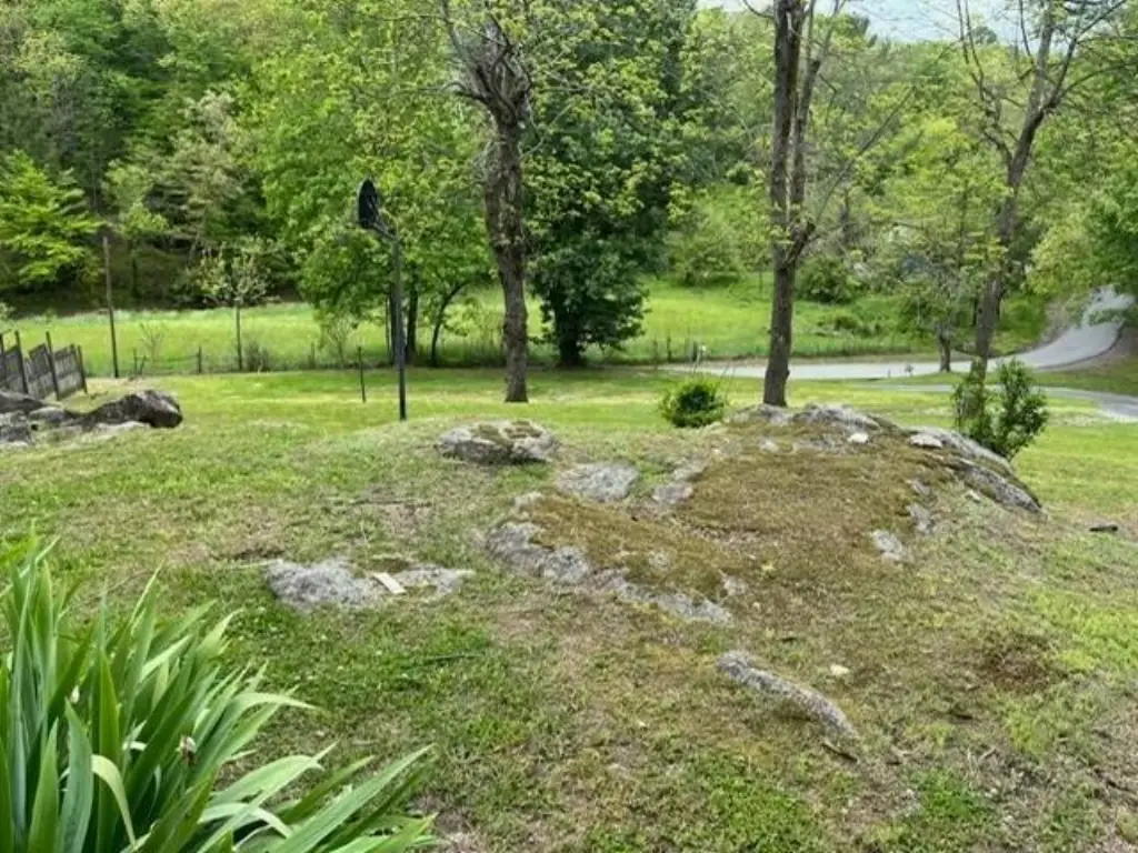Picture 11