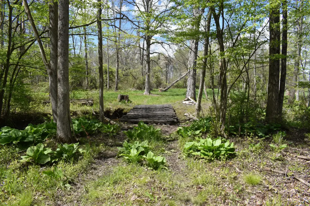 Picture 21