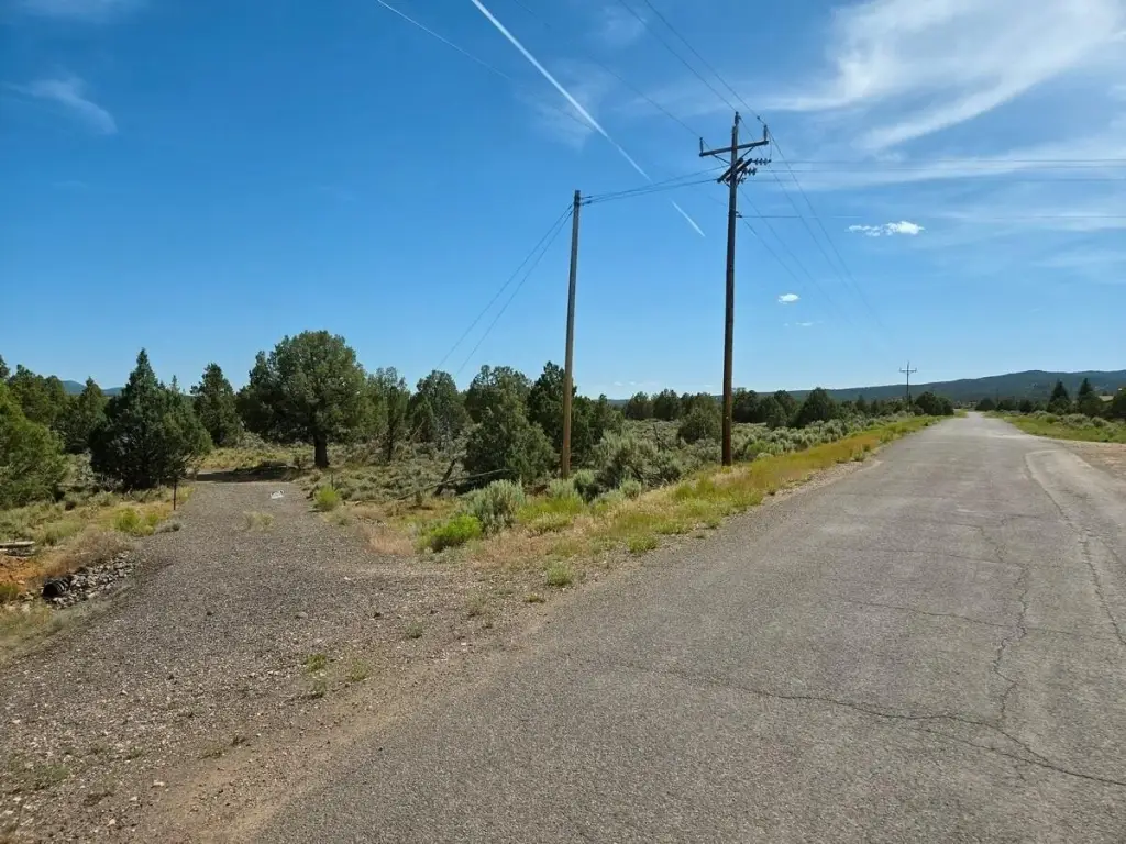 Picture 23