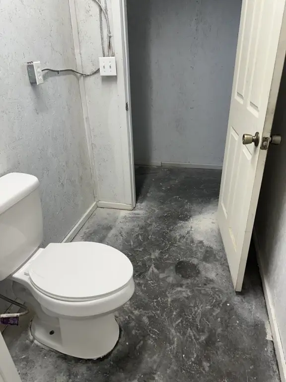 Picture 5