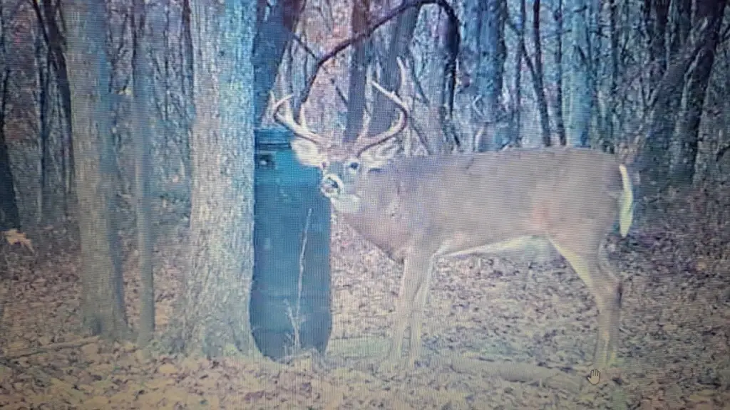 Picture 6