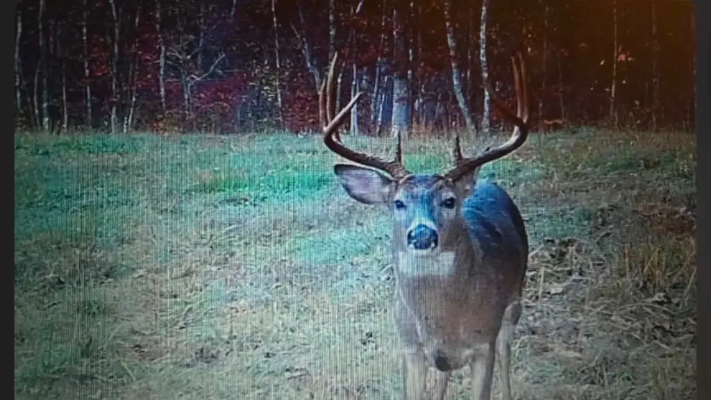 Picture 17