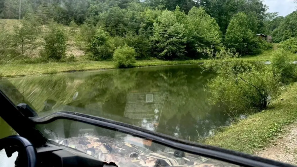 Picture 33