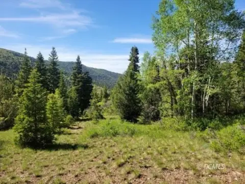 Mountain Recreational Property with Building Lots