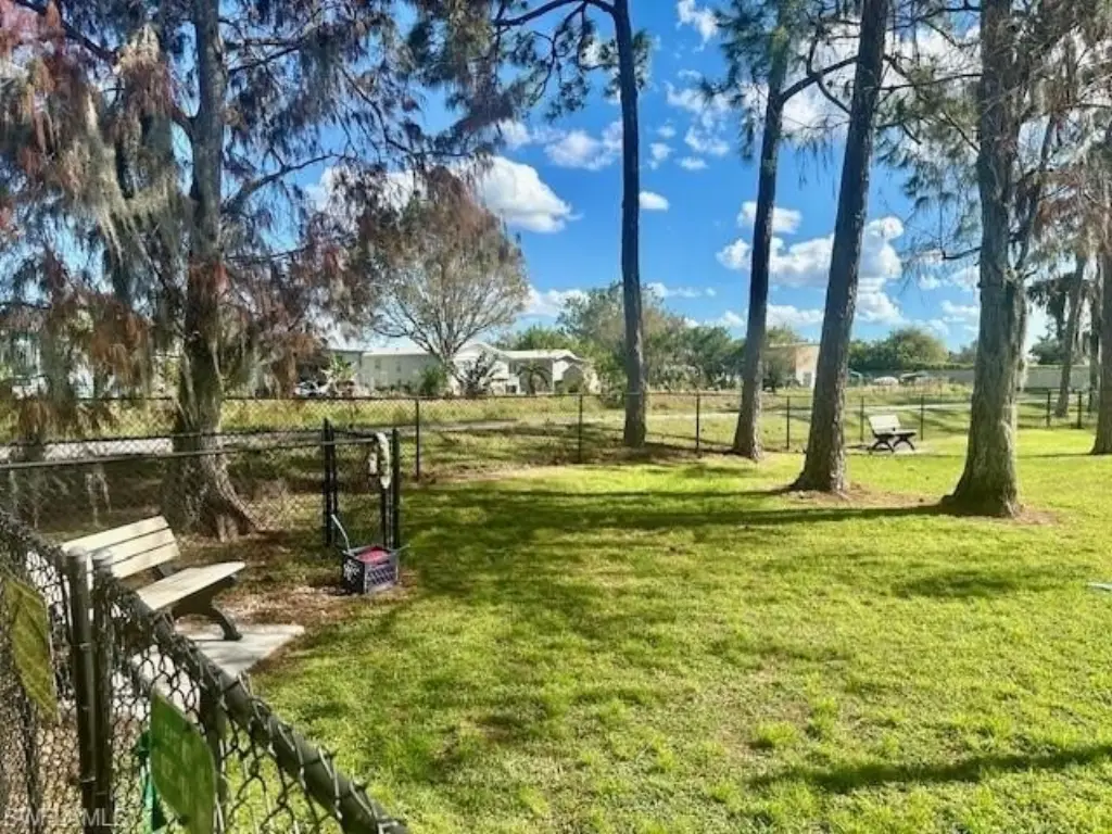Picture 25