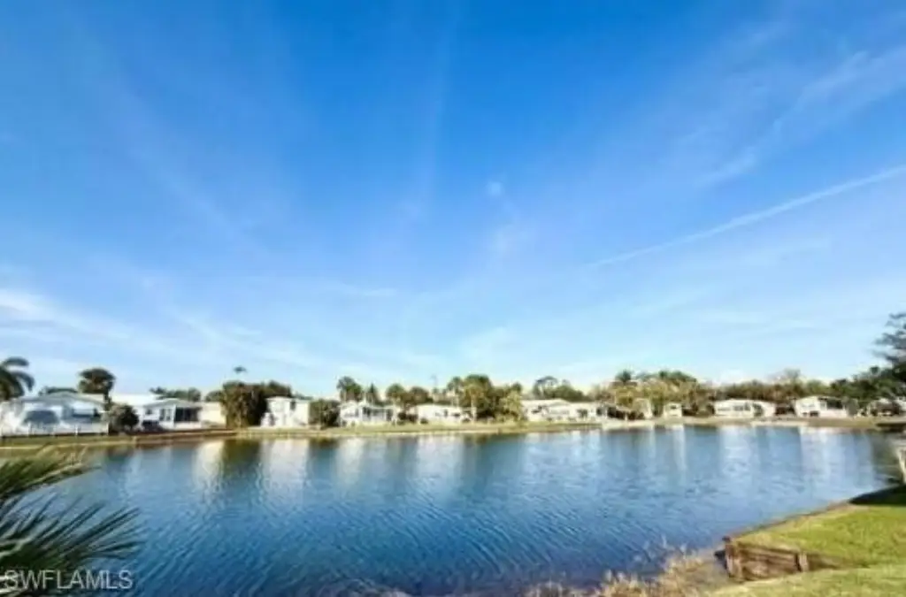 Picture 5