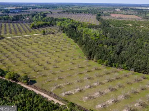 55+ Acres of Georgia Land