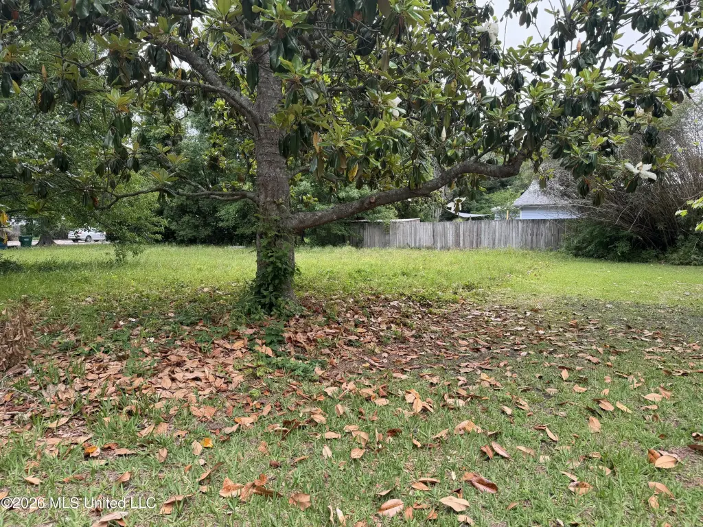Picture 3