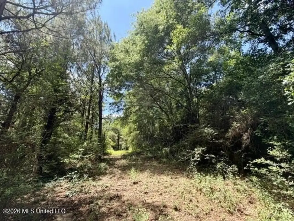Picture 4