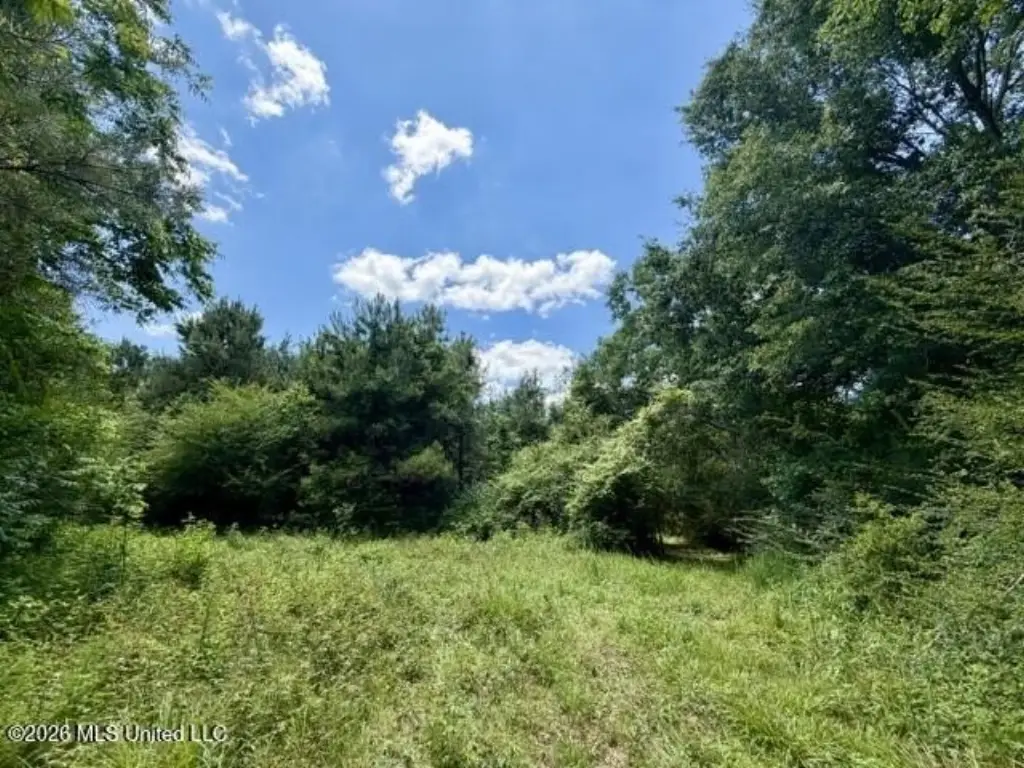 Picture 2