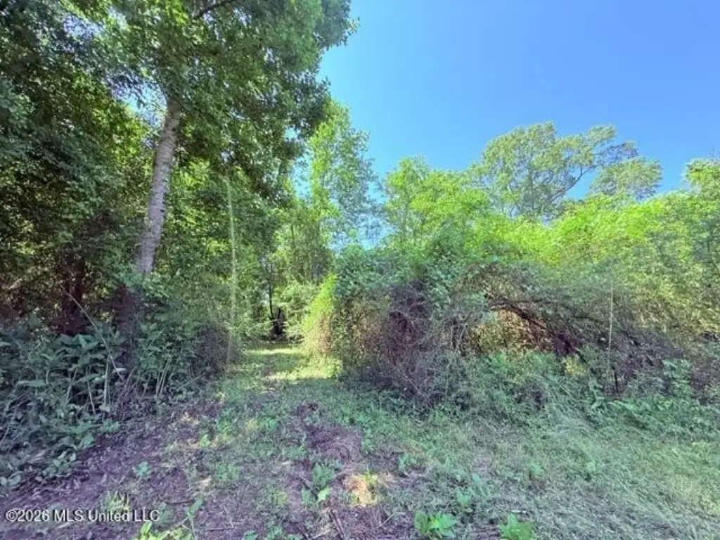 Picture 32