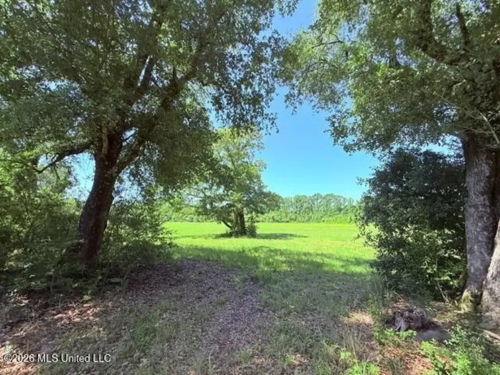 Picture 19