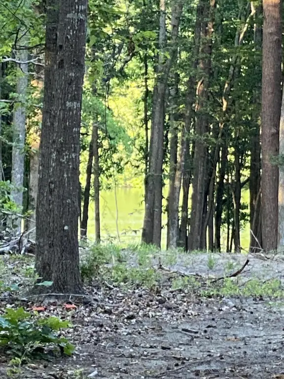 Picture 31