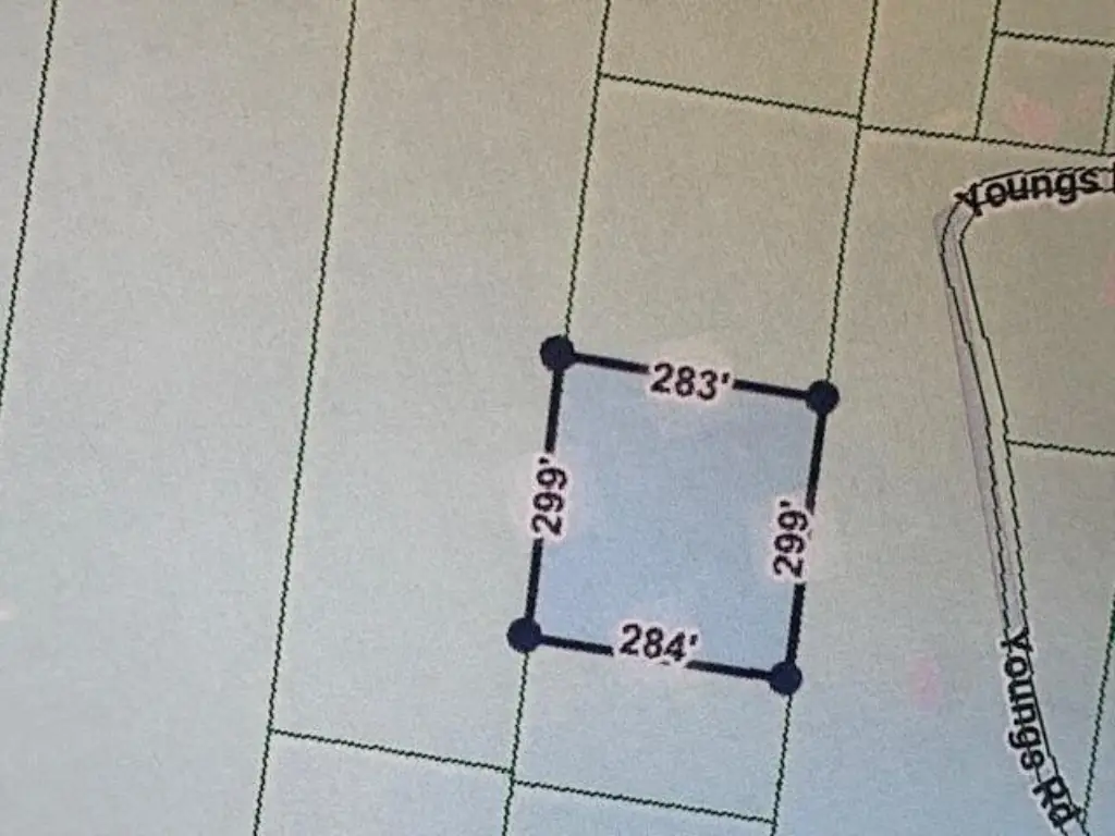 Picture 2