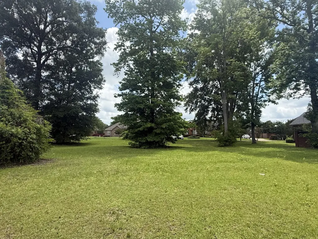 Picture 8