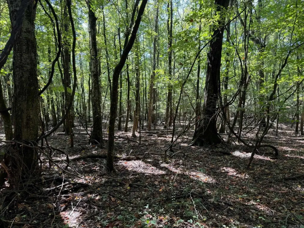 Picture 25