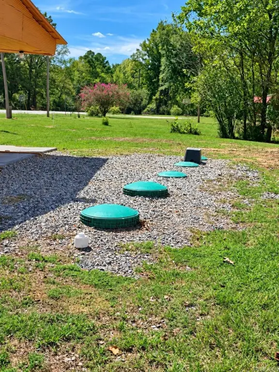 Picture 14