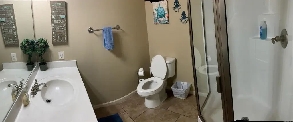 Picture 20