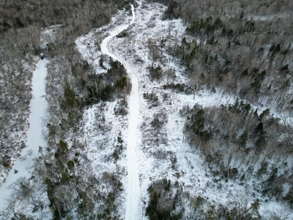 Picture 5