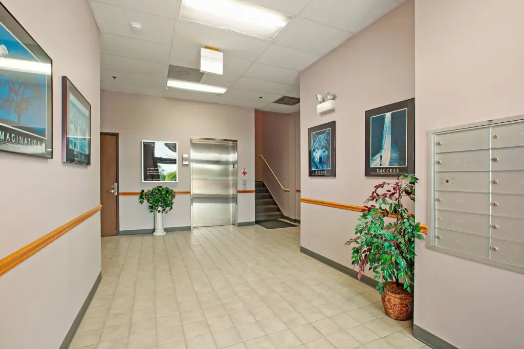 Picture 9