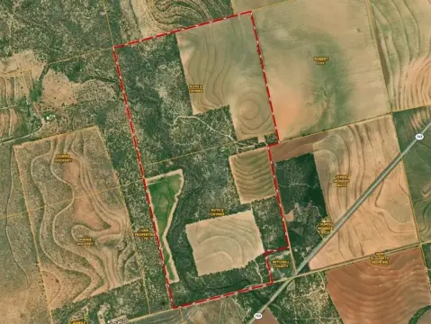 302 Acres Near Colorado City