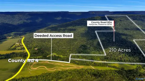 Hollytree Recreational and Hunting Land