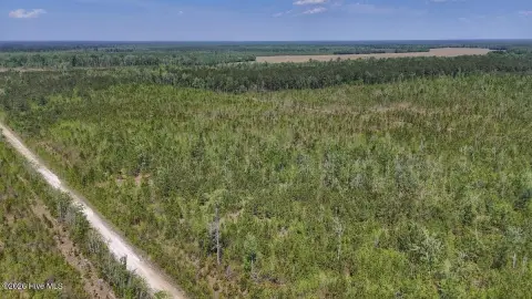 25 Acres of Recreational Land