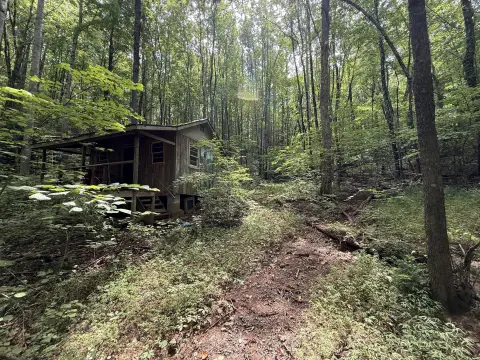 Unrestricted Wooded Land For Sale