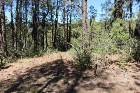Pagosa Springs Residential Land