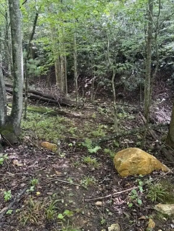 Picture 4