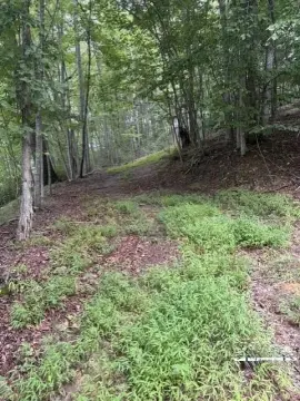 Wooded Waterfront Land
