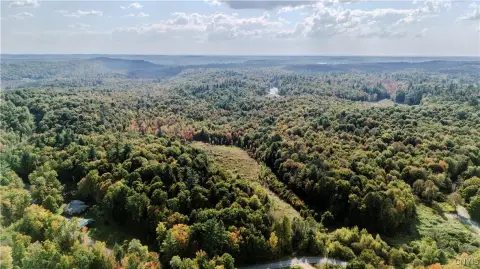 Harrisville Land Near State Forest