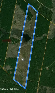 Bertie County Hunting Land