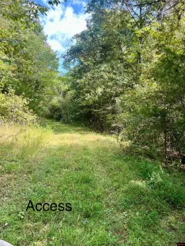 40 Acres of Hunting Land