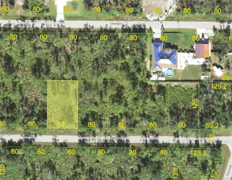 Punta Gorda Buildable Lot