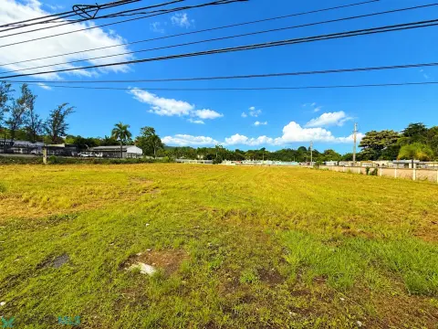 Flat Commercial Land