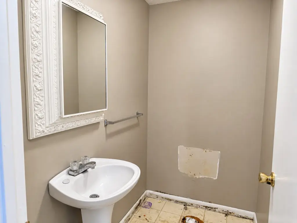 Picture 16