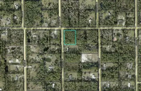Wooded Acreage in Bunnell, Florida