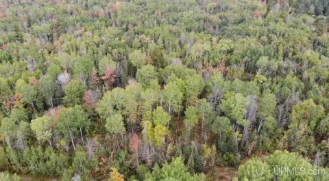 Wooded Land Near Lake Gogebic