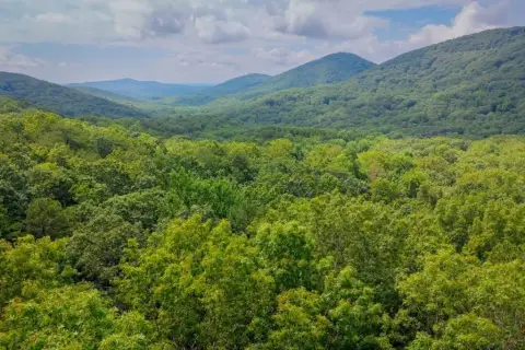 Mountain View Lot in Big Canoe