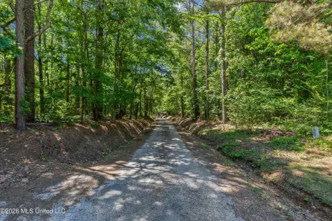 Recreational Timberland with Homesite