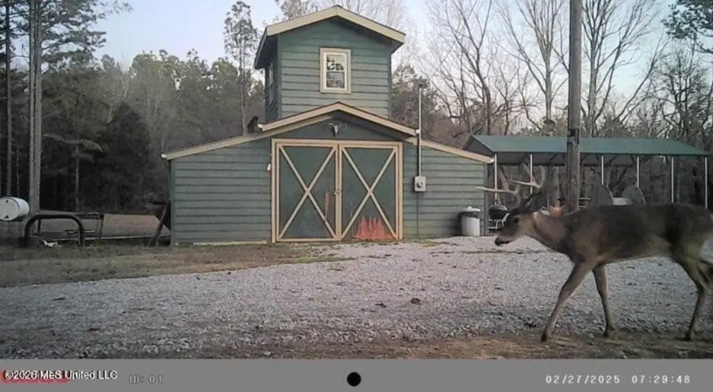 Picture 47