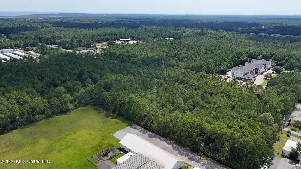Picture 7